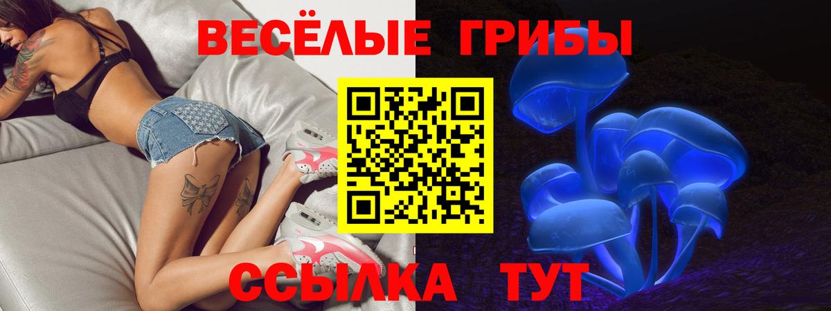 Галлюциногенные грибы мицелий Канаш